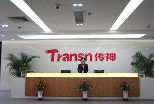 傳神語(yǔ)聯(lián)網(wǎng)全鏈布局初步完成 助力翻譯回歸服務(wù)本質(zhì)